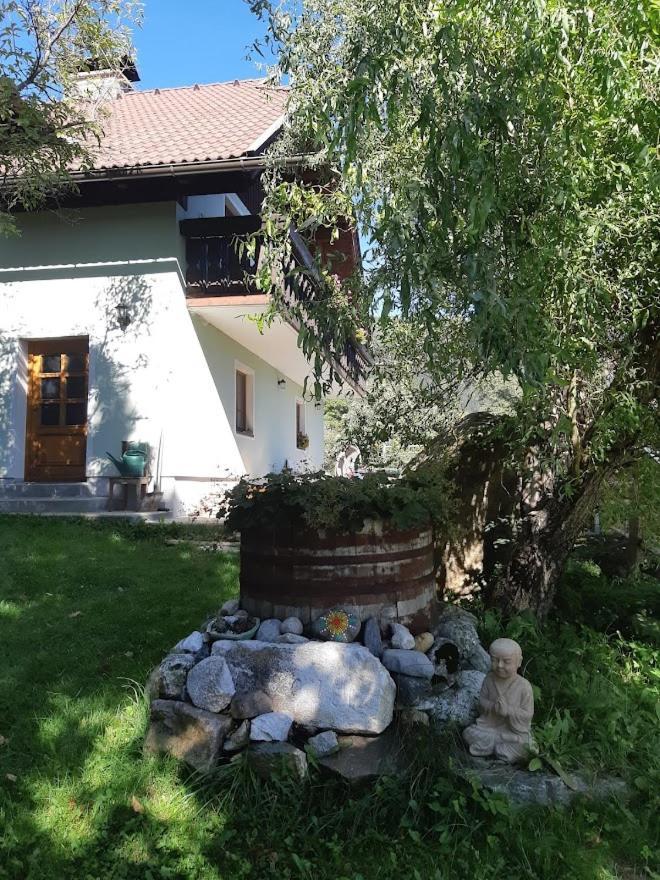 Apartments Berghof Familie Steinwender Pölling المظهر الخارجي الصورة