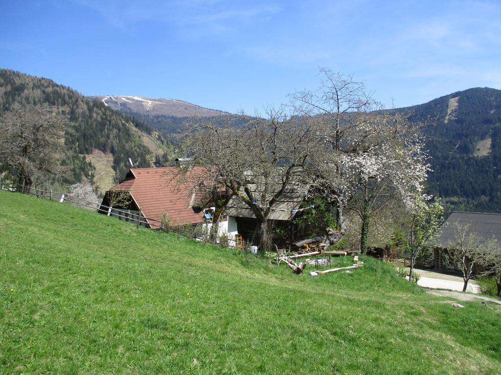Apartments Berghof Familie Steinwender Pölling المظهر الخارجي الصورة