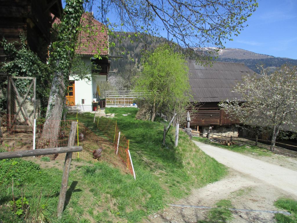 Apartments Berghof Familie Steinwender Pölling المظهر الخارجي الصورة