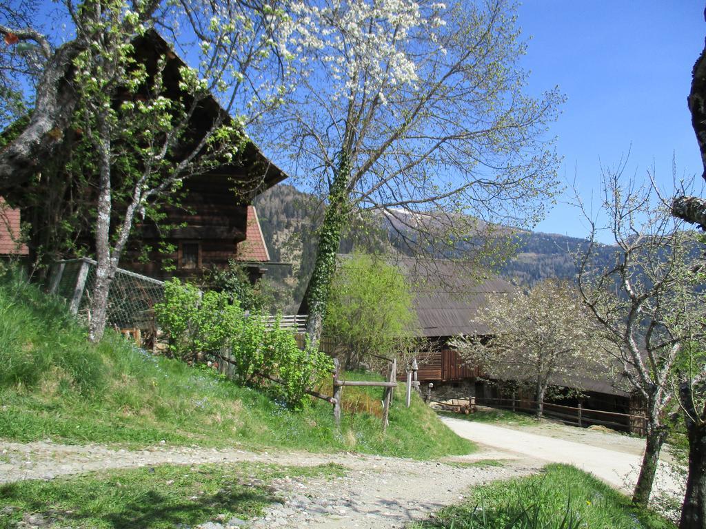 Apartments Berghof Familie Steinwender Pölling المظهر الخارجي الصورة